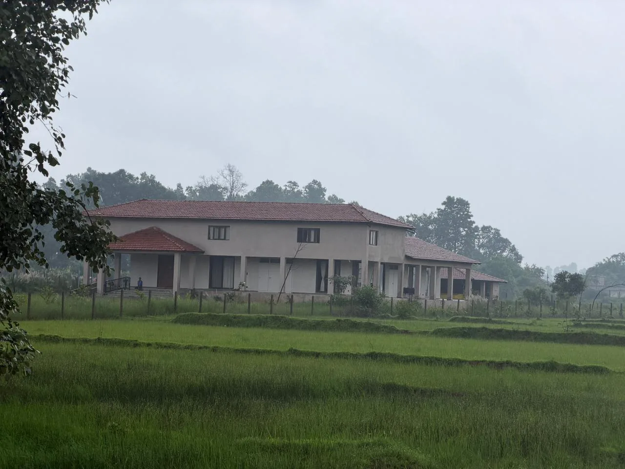 Open fields and forest edge around Semal