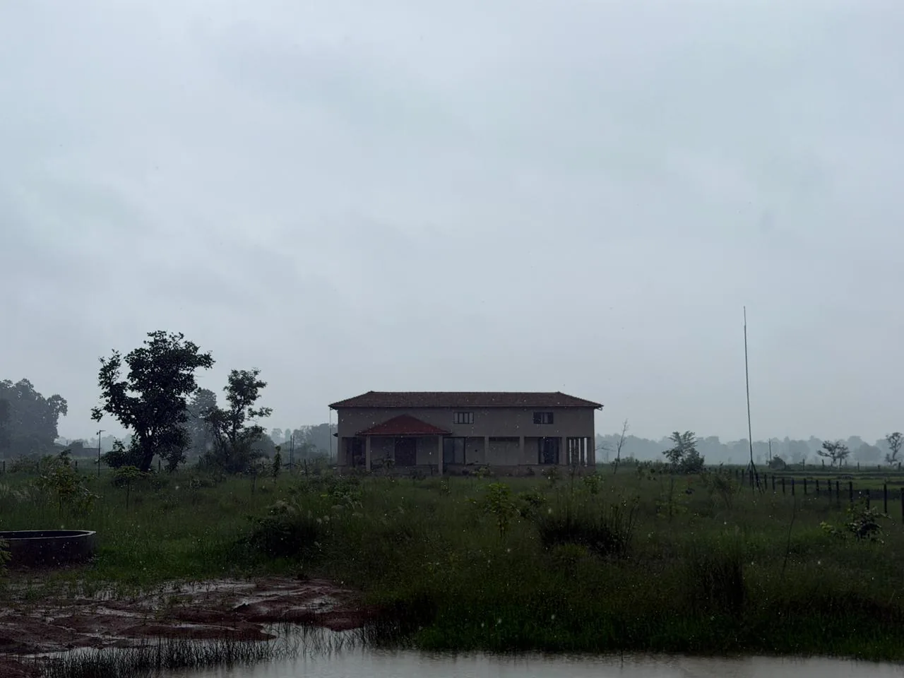 Rain over the land at Semal