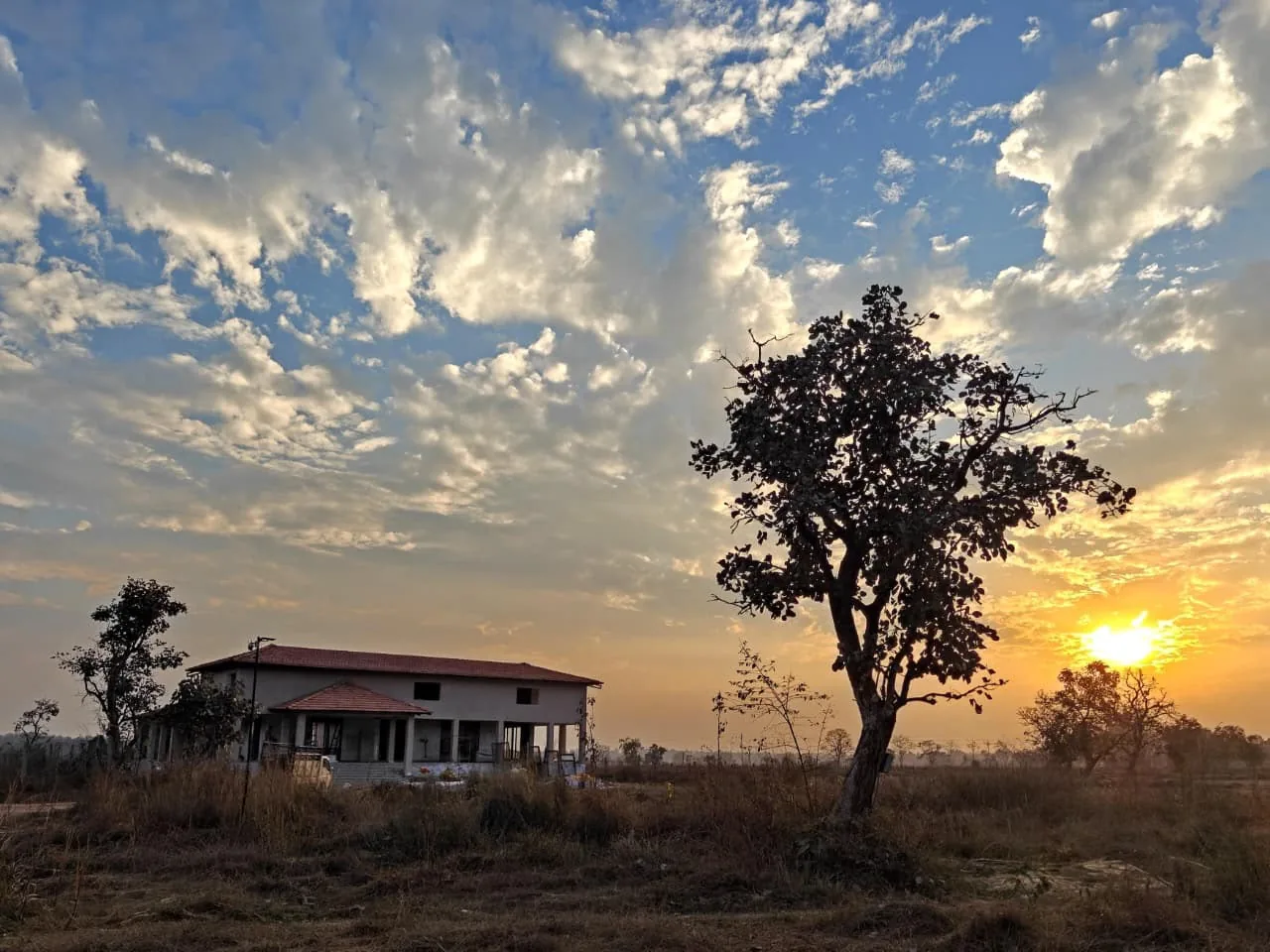 Dusk falling over the trees at Semal